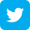 Twitter Bird